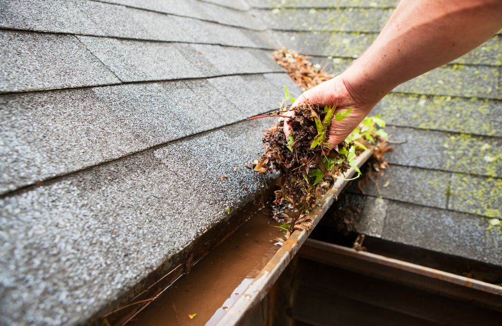 Why You Should Hire Professional Roofers